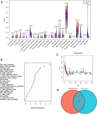 Evaluation of Biomarkers and Immune Microenvironment of Osteoarthritis: Evidence From Omics Data and Machine Learning